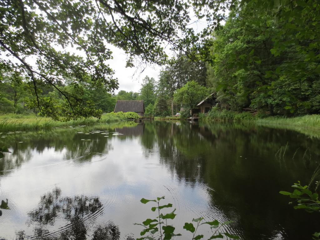 Mizarai Mill House Villa Druskininkai Luaran gambar